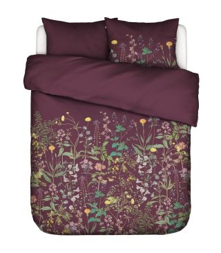 Essenza Augustina Mauve wine  200 x 200