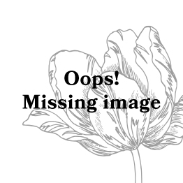 Essenza Minte Olive Duvet cover 155 x 220