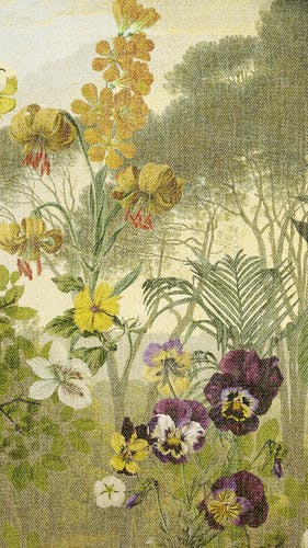 smartphone screensaver nature