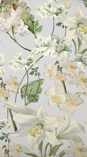 smartphone screensaver Rosalee grey