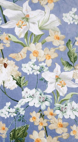 smartphone screensaver Rosalee iceblue