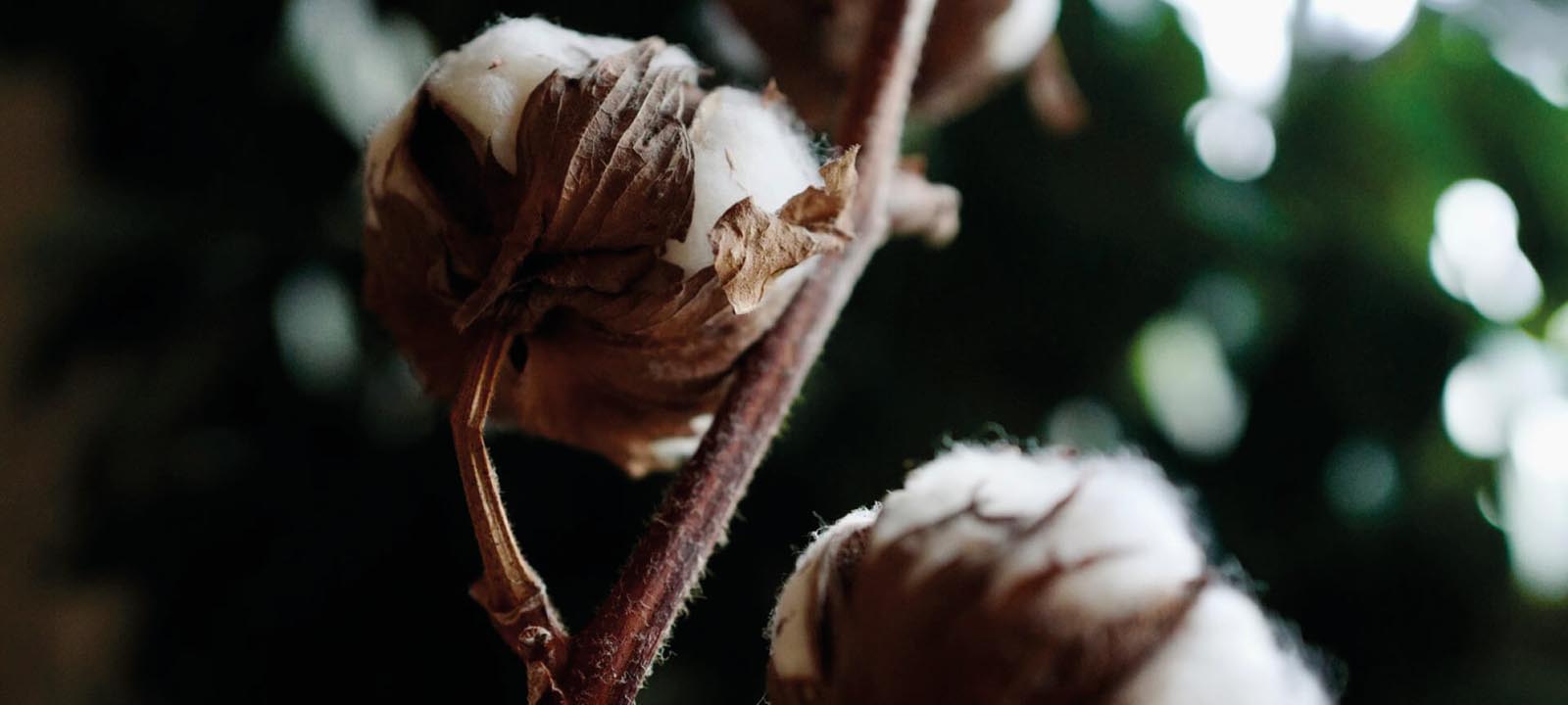 Corporate responsibility