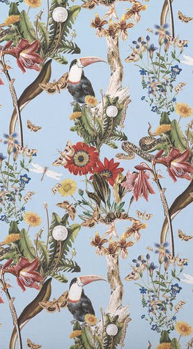 smartphone screensaver tropic